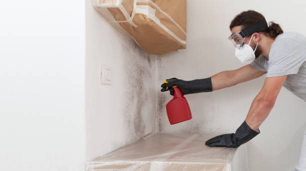 Attic Mold Remediation treatment on roof deck in Middletown
